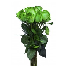 Blooming Green - 6 Stems Bouquet